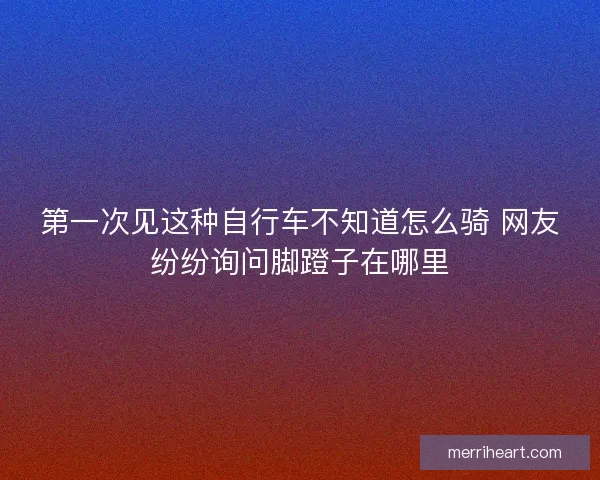 第一次见这种自行车不知道怎么骑 网友纷纷询问脚蹬子在哪里