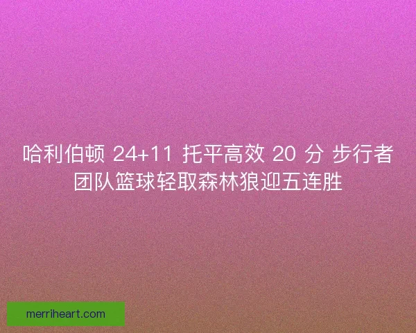哈利伯顿 24+11 托平高效 20 分 步行者团队篮球轻取森林狼迎五连胜